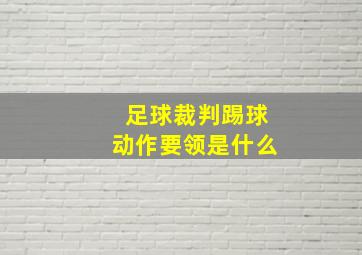 足球裁判踢球动作要领是什么