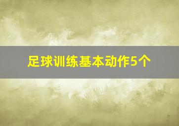 足球训练基本动作5个