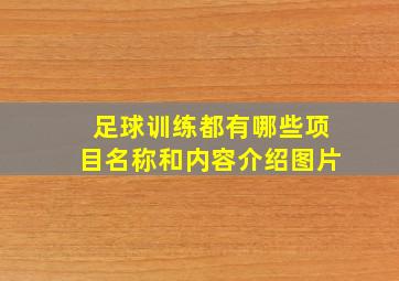 足球训练都有哪些项目名称和内容介绍图片