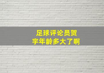 足球评论员贺宇年龄多大了啊