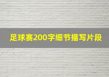 足球赛200字细节描写片段