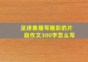 足球赛描写精彩的片段作文300字怎么写