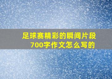 足球赛精彩的瞬间片段700字作文怎么写的