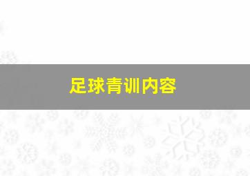 足球青训内容