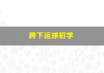 跨下运球初学