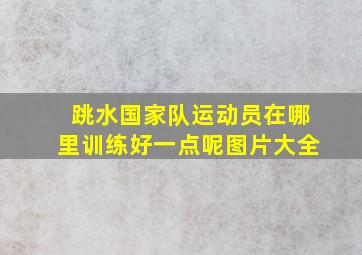 跳水国家队运动员在哪里训练好一点呢图片大全