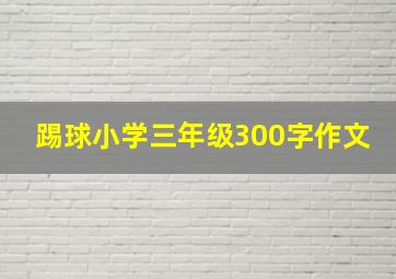 踢球小学三年级300字作文