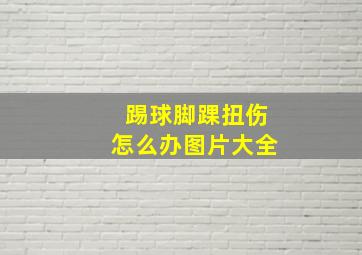 踢球脚踝扭伤怎么办图片大全