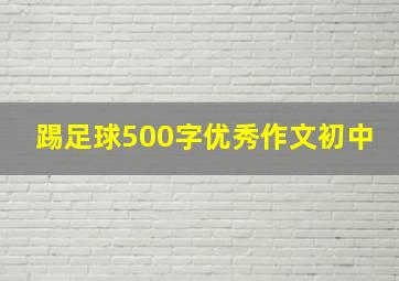 踢足球500字优秀作文初中