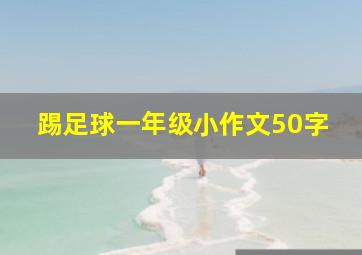 踢足球一年级小作文50字