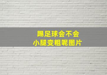 踢足球会不会小腿变粗呢图片