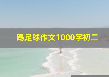 踢足球作文1000字初二