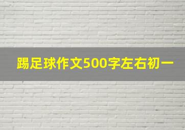 踢足球作文500字左右初一