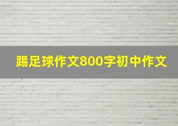 踢足球作文800字初中作文