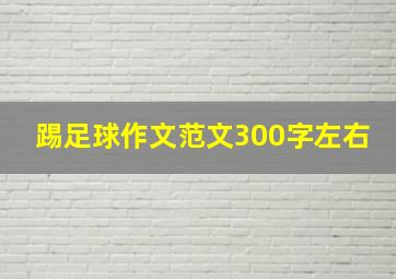 踢足球作文范文300字左右