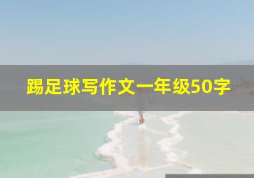 踢足球写作文一年级50字