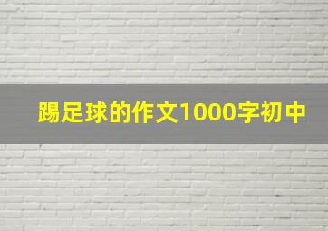 踢足球的作文1000字初中