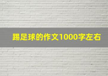 踢足球的作文1000字左右