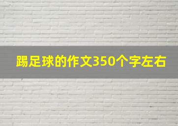 踢足球的作文350个字左右