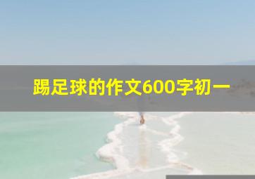 踢足球的作文600字初一