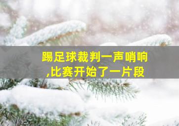 踢足球裁判一声哨响,比赛开始了一片段