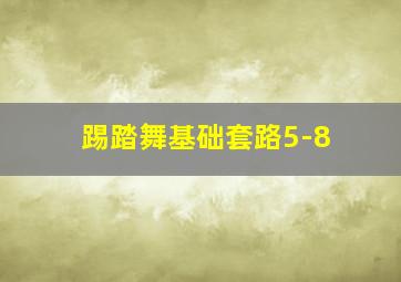 踢踏舞基础套路5-8