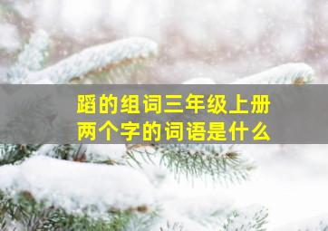 蹈的组词三年级上册两个字的词语是什么