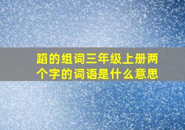 蹈的组词三年级上册两个字的词语是什么意思