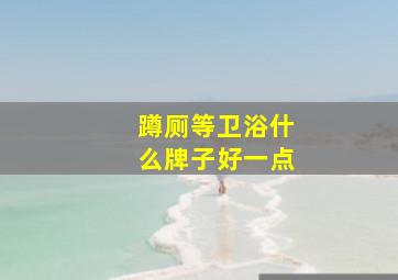 蹲厕等卫浴什么牌子好一点