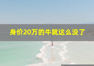 身价20万的牛就这么没了