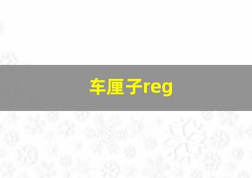 车厘子reg