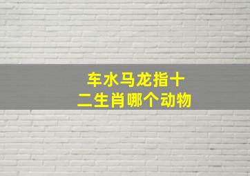 车水马龙指十二生肖哪个动物