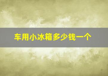 车用小冰箱多少钱一个