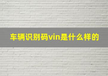 车辆识别码vin是什么样的