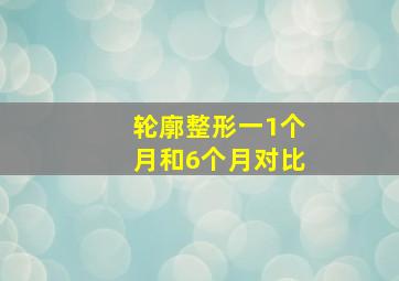 轮廓整形一1个月和6个月对比