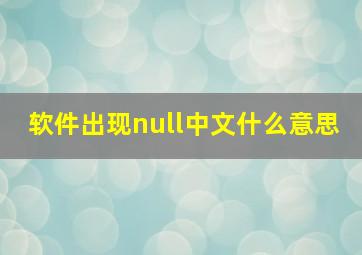 软件出现null中文什么意思