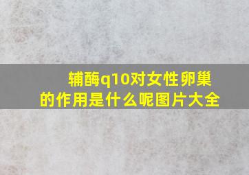 辅酶q10对女性卵巢的作用是什么呢图片大全