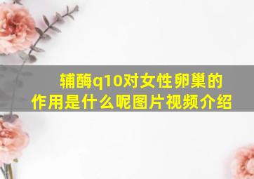 辅酶q10对女性卵巢的作用是什么呢图片视频介绍