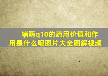 辅酶q10的药用价值和作用是什么呢图片大全图解视频