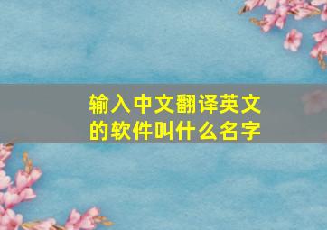 输入中文翻译英文的软件叫什么名字