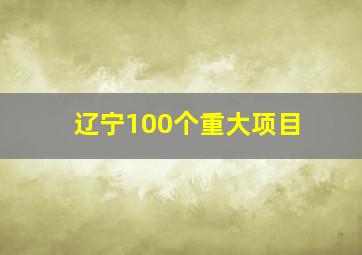 辽宁100个重大项目