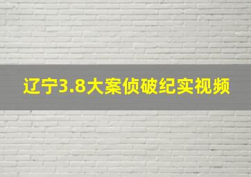 辽宁3.8大案侦破纪实视频