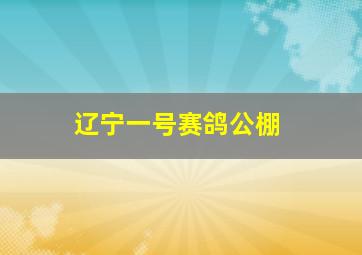 辽宁一号赛鸽公棚