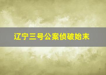 辽宁三号公案侦破始末