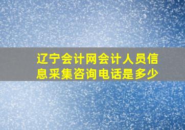 辽宁会计网会计人员信息采集咨询电话是多少