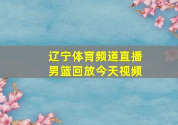 辽宁体育频道直播男篮回放今天视频