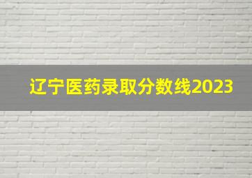 辽宁医药录取分数线2023