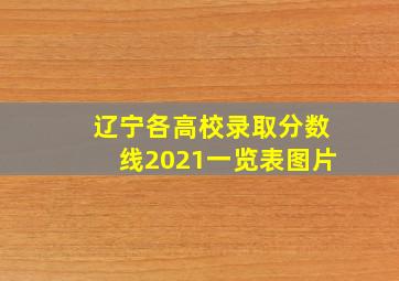 辽宁各高校录取分数线2021一览表图片