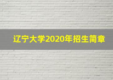 辽宁大学2020年招生简章