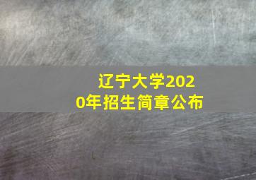 辽宁大学2020年招生简章公布